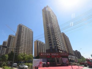 合肥龍澤府第小區(qū)項目定制空調(diào)欄桿、樓梯欄桿產(chǎn)品